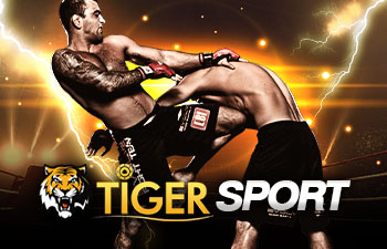 tiger sport